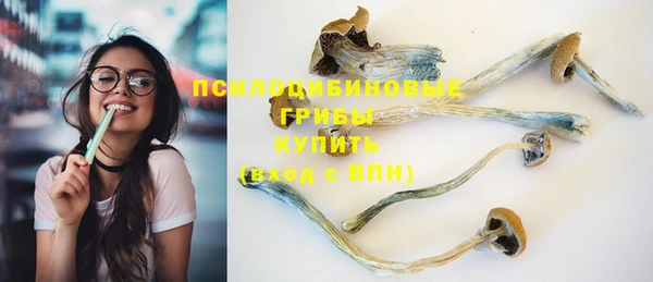 MESCALINE Инсар