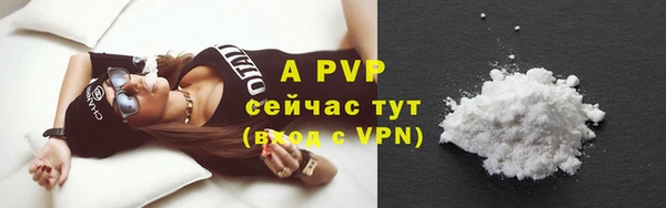 прущие грибы Иннополис