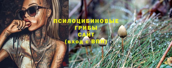 гидра Зеленокумск