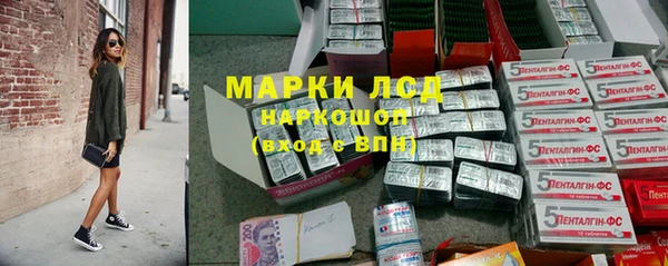 прущие грибы Иннополис