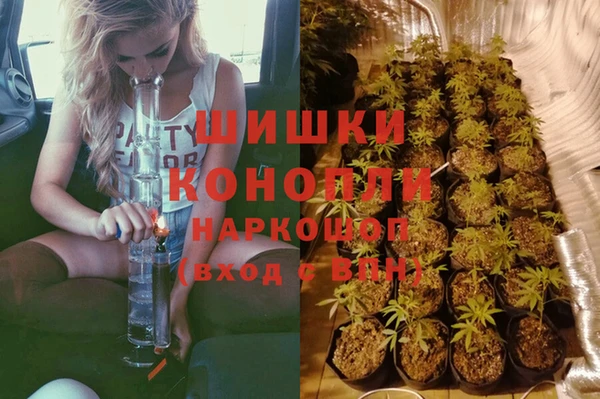 гидра Зеленокумск