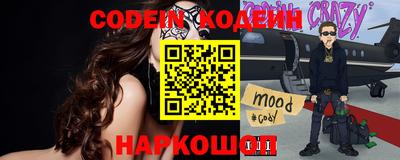 хмурый Кингисепп