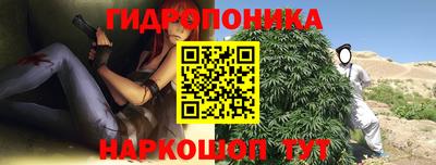 тгк Кимры