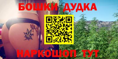 хмурый Кингисепп
