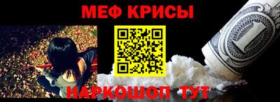 хмурый Кингисепп