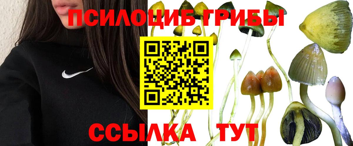 Псилоцибиновые грибы GOLDEN TEACHER  Вход с VPN  Псилоцибиновые грибы Magic Shrooms  Новошахтинск 