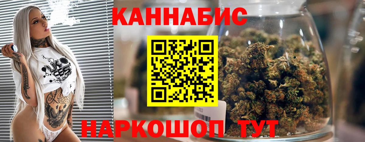 Конопля сатива Новошахтинск